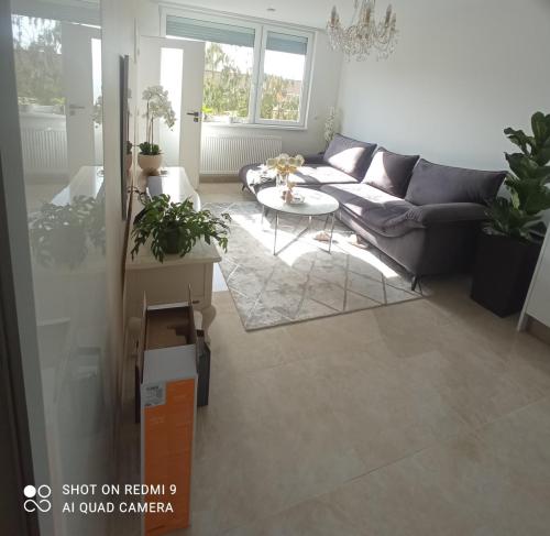 rekonstrukce-praha8-18