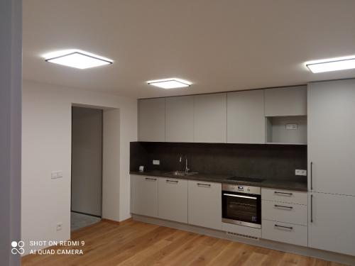 rekonstrukce-stareho-domu2-11