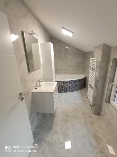 rekonstrukce-stareho-domu2-17