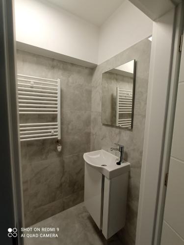 rekonstrukce-stareho-domu2-19