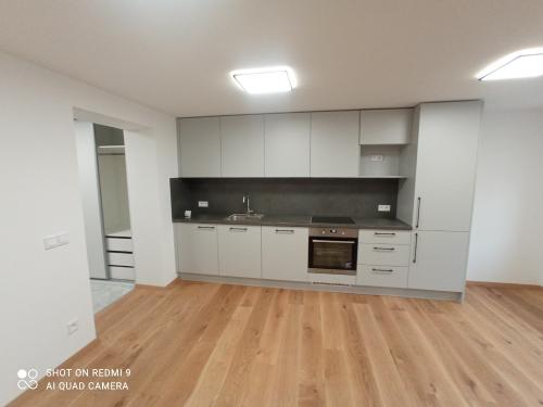 rekonstrukce-stareho-domu2-26